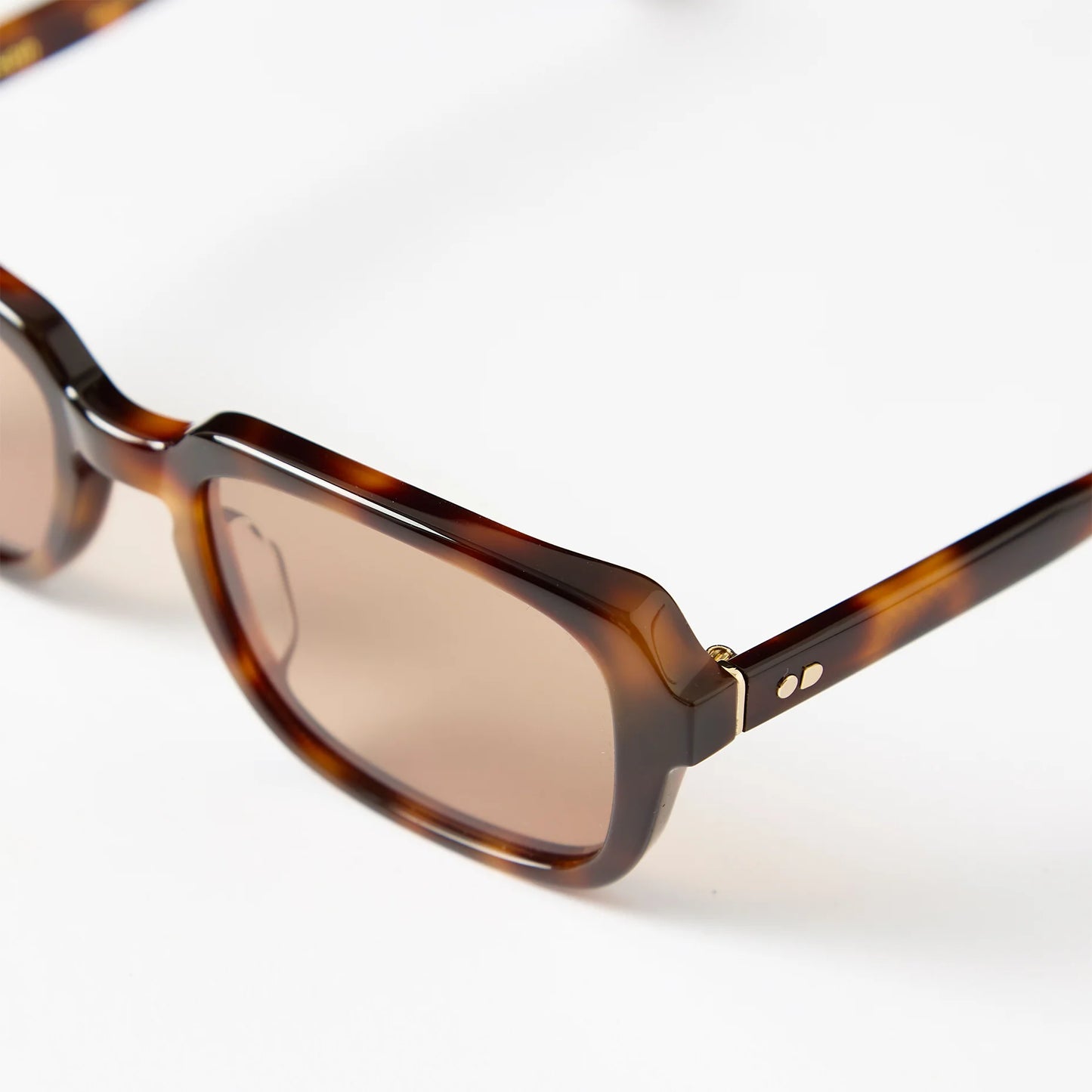 Nelson - Tortoise/Sunset