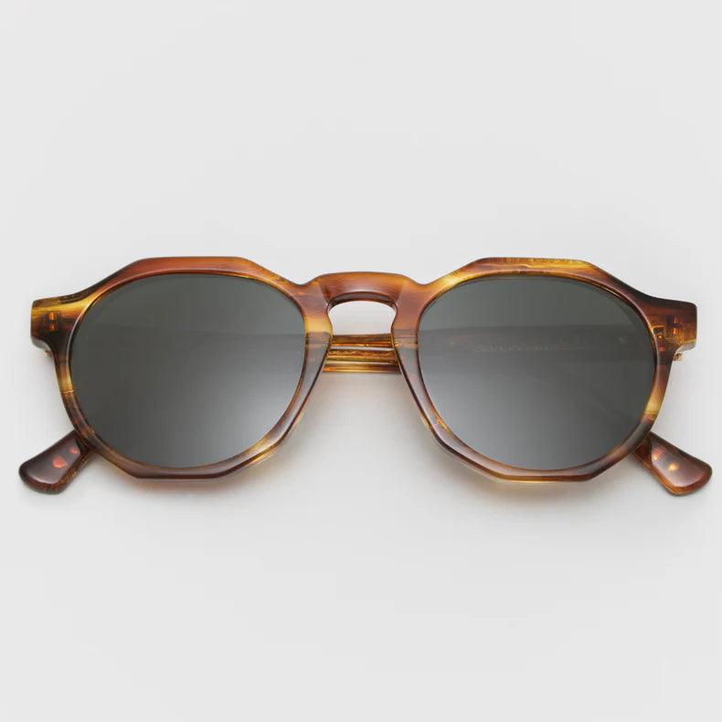 Pinto - Havana/Olive