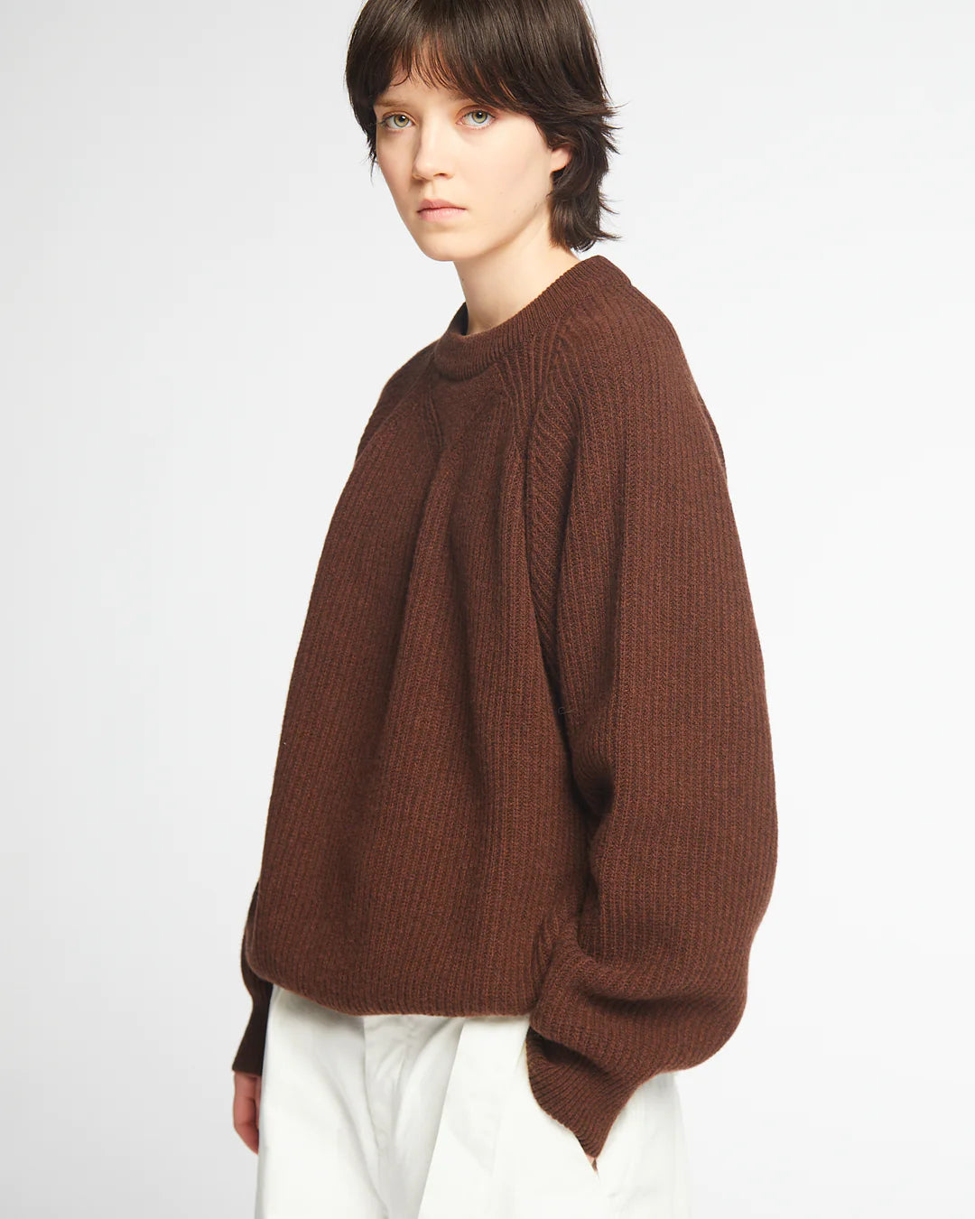 Crew Neck Sweater - Bison