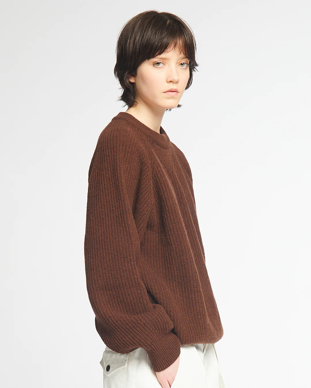 Crew Neck Sweater - Bison