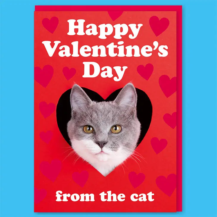 Happy Valentine's Day From The Cat - Card