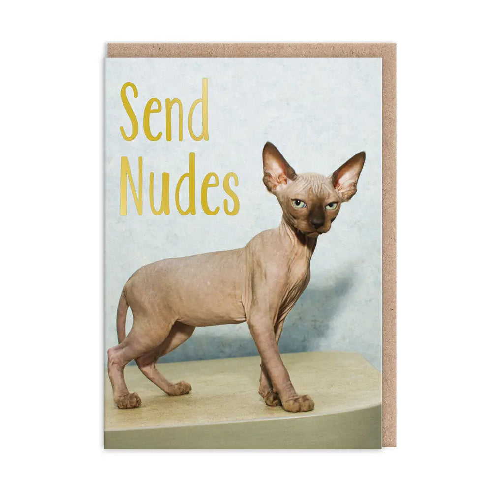 'Send Nudes' Greetings Card