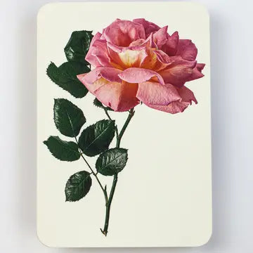 Pink Rose Greeting Card