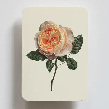 Soft Peach Rose Greeting Card