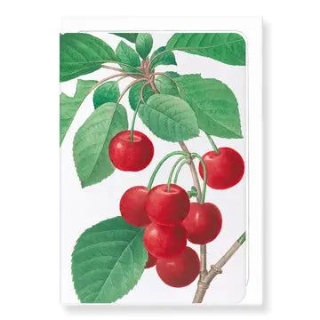 Cherry Greeting Card