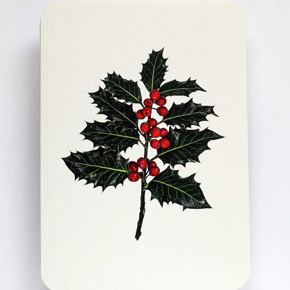 Christmas Holly Greeting Card