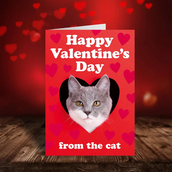 
                  
                    Happy Valentine's Day From The Cat - Card
                  
                