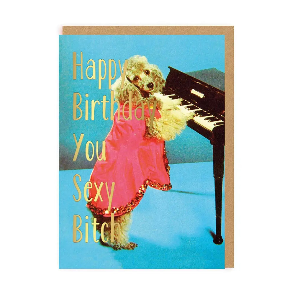 'Happy Birthday Sexy Bitch' Greetings Card